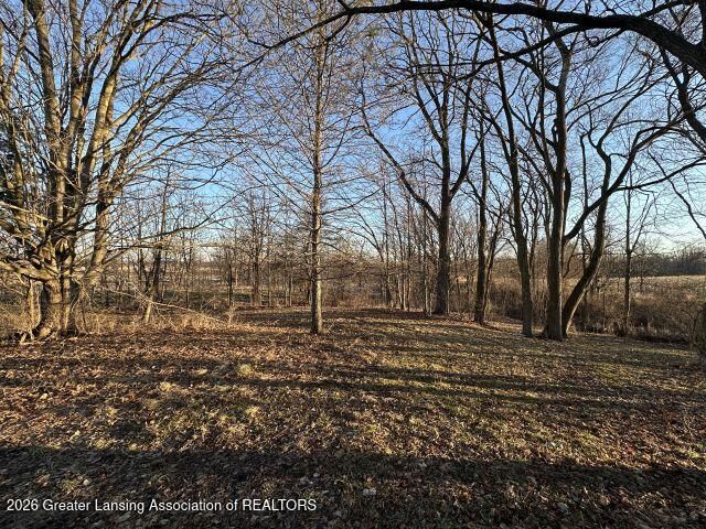 8733 S Cochran Road, Olivet, MI 49076