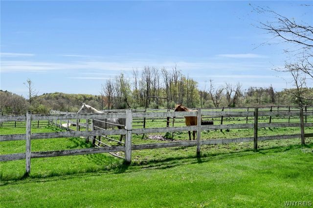 10259 Warner Gulf Road, Sardinia, NY 14080