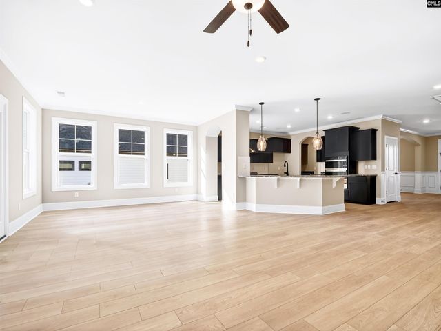 327 Murray Falls Lane, Chapin, SC 29036