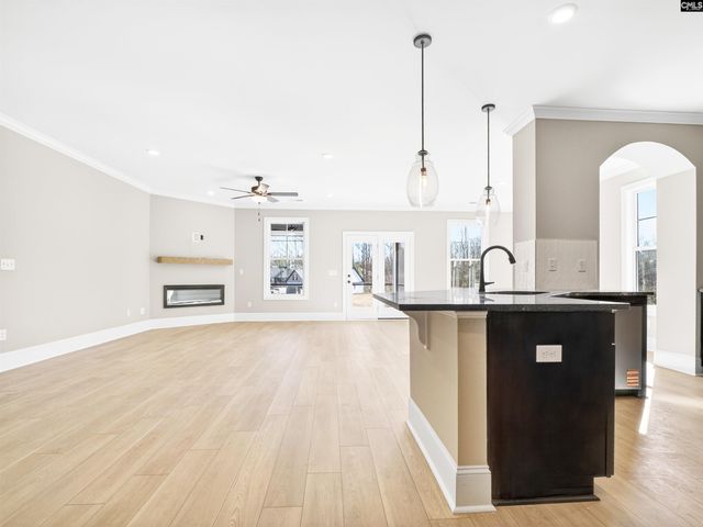 327 Murray Falls Lane, Chapin, SC 29036