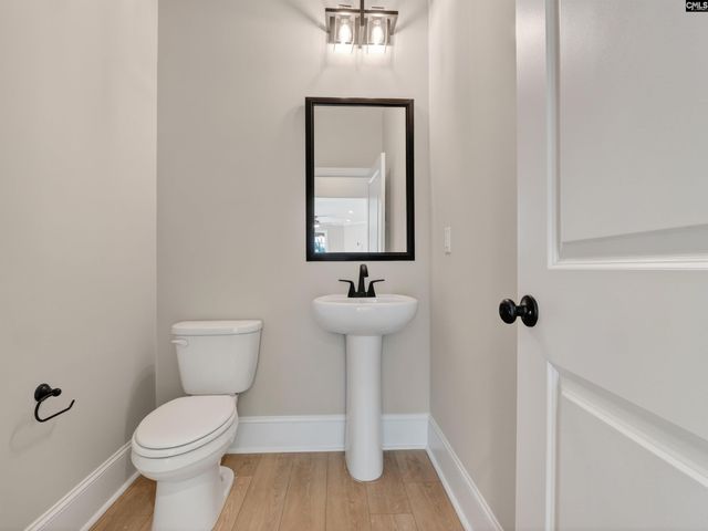 327 Murray Falls Lane, Chapin, SC 29036