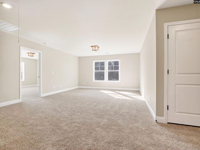 327 Murray Falls Lane, Chapin, SC 29036