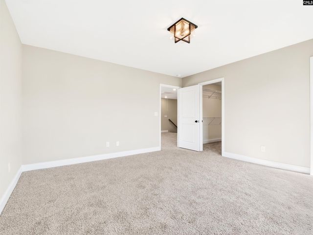 327 Murray Falls Lane, Chapin, SC 29036