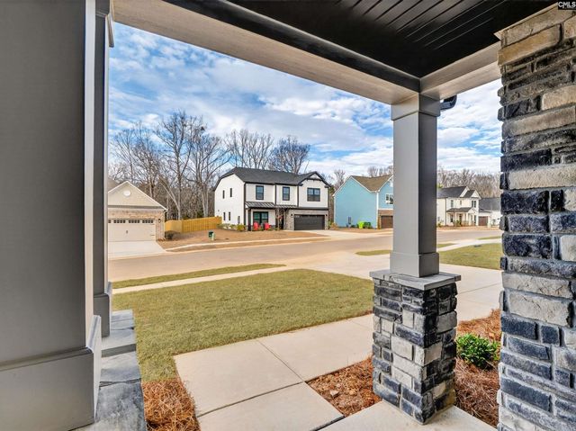 327 Murray Falls Lane, Chapin, SC 29036