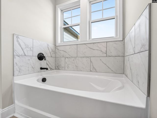 327 Murray Falls Lane, Chapin, SC 29036