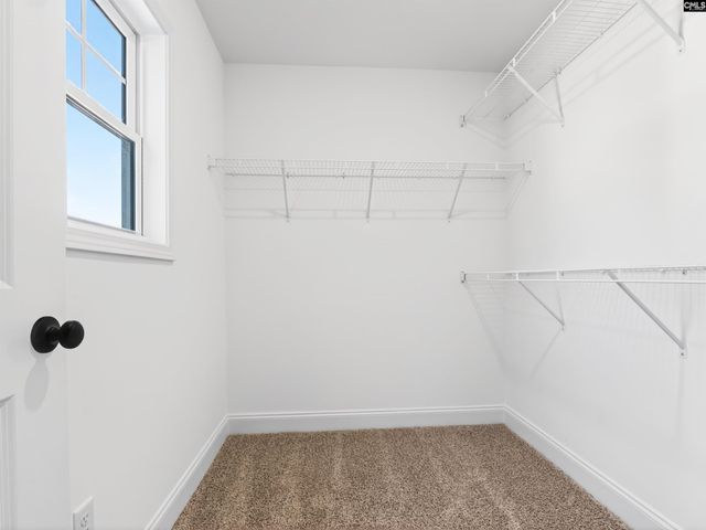 327 Murray Falls Lane, Chapin, SC 29036