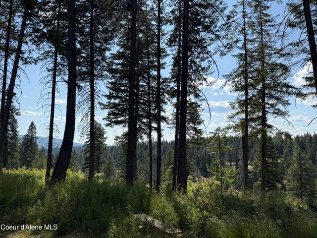 890 Pokey Creek Rd, St. Maries, ID 83861
