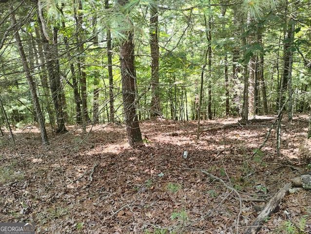 0 Crystal Lane 3284, Ellijay, GA 30540