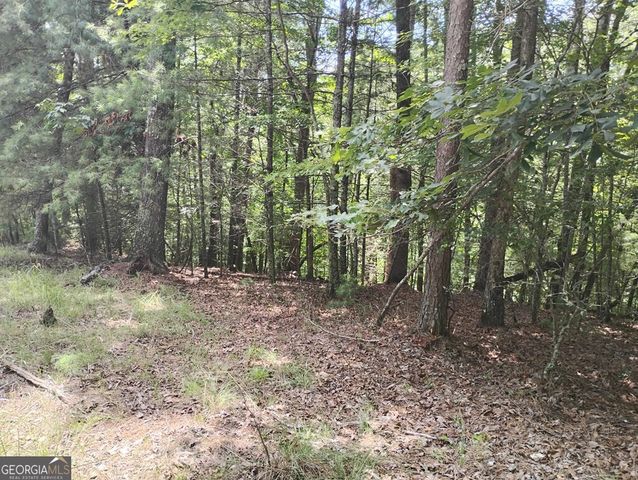 0 Crystal Lane 3284, Ellijay, GA 30540