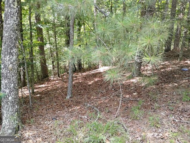 0 Crystal Lane 3284, Ellijay, GA 30540