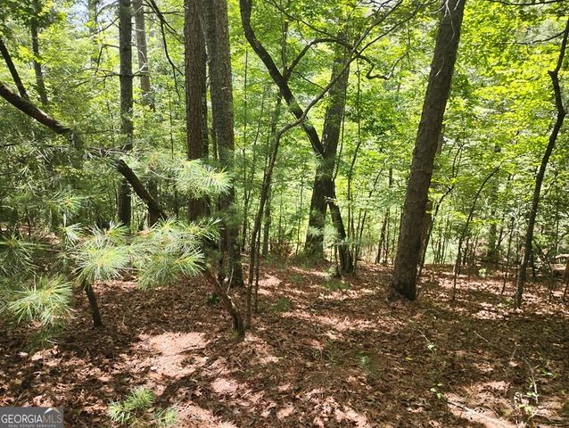0 Crystal Lane 3284, Ellijay, GA 30540