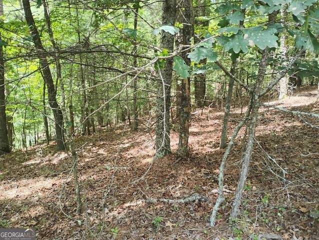 0 Crystal Lane 3284, Ellijay, GA 30540