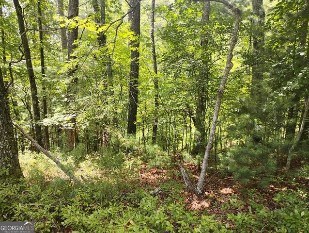 0 Crystal Lane 3284, Ellijay, GA 30540
