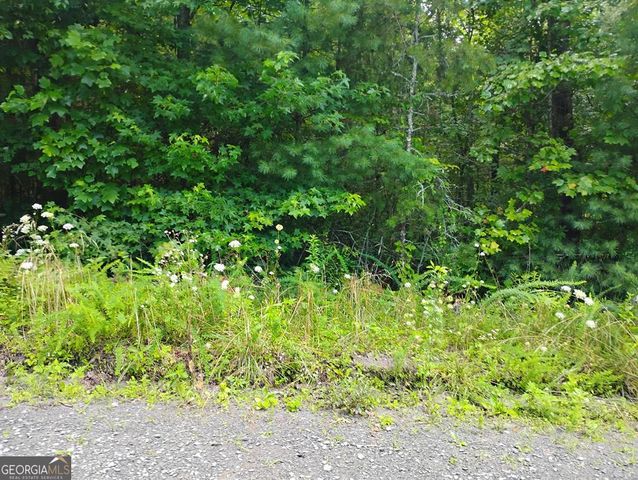 0 Crystal Lane 3284, Ellijay, GA 30540