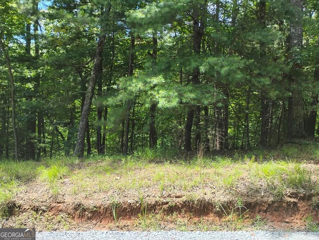 0 Crystal Lane 3284, Ellijay, GA 30540