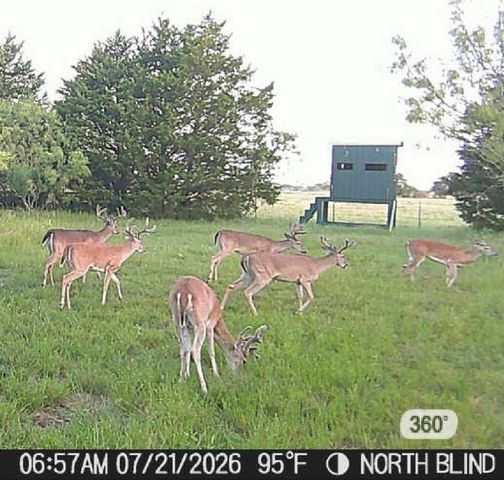 315 County Road 2240, Kerens, TX 75144