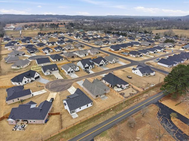 7 Dragonfly Cove, Greenbrier, AR 72058