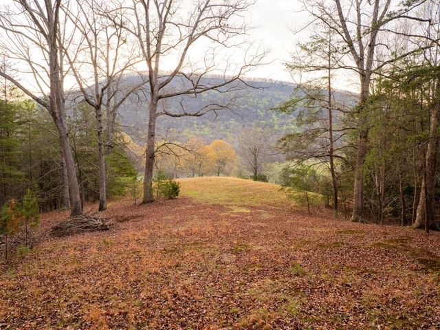 8040 Hog Jowl Road, Chickamauga, GA 30707