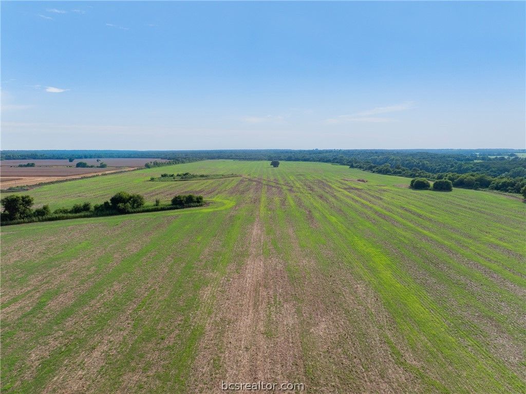 +/-210.6 AC Black Bridge Road, Calvert, TX 77837 — photo 5