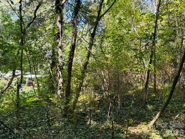 TBD Hi Alta Avenue, Asheville, NC 28806