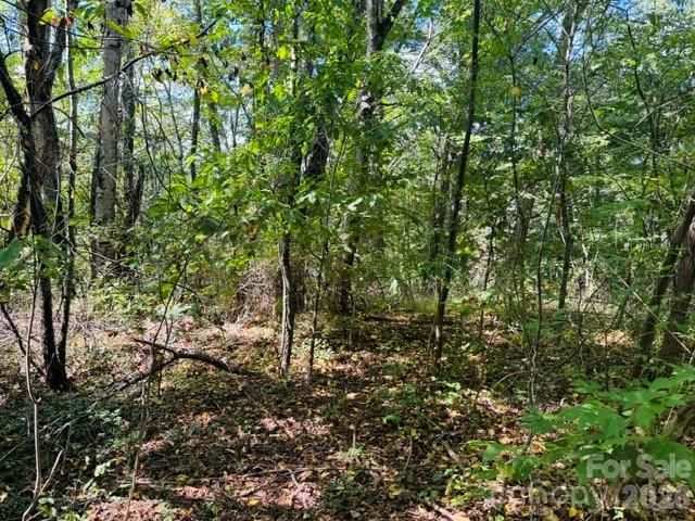 TBD Hi Alta Avenue, Asheville, NC 28806