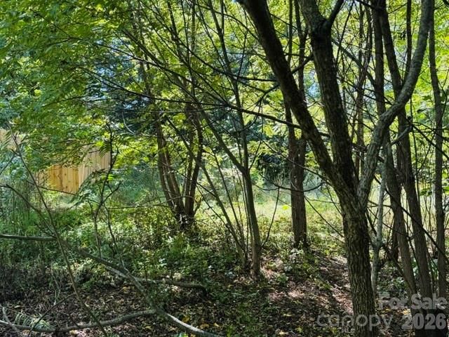 TBD Hi Alta Avenue, Asheville, NC 28806