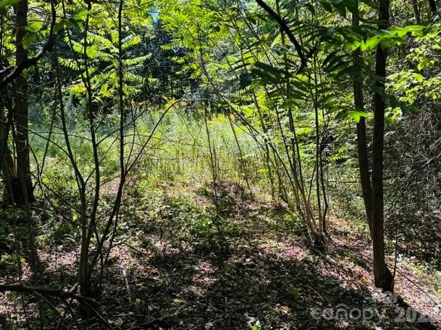 TBD Hi Alta Avenue, Asheville, NC 28806