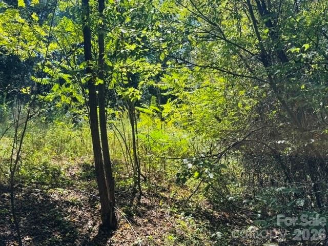 TBD Hi Alta Avenue, Asheville, NC 28806
