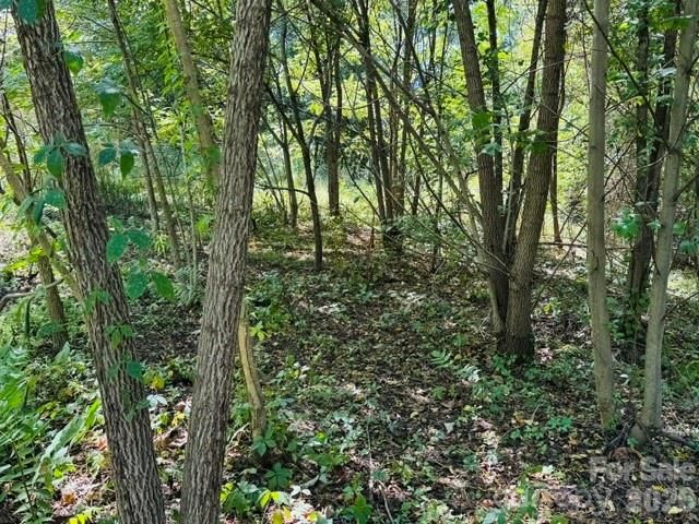 TBD Hi Alta Avenue, Asheville, NC 28806