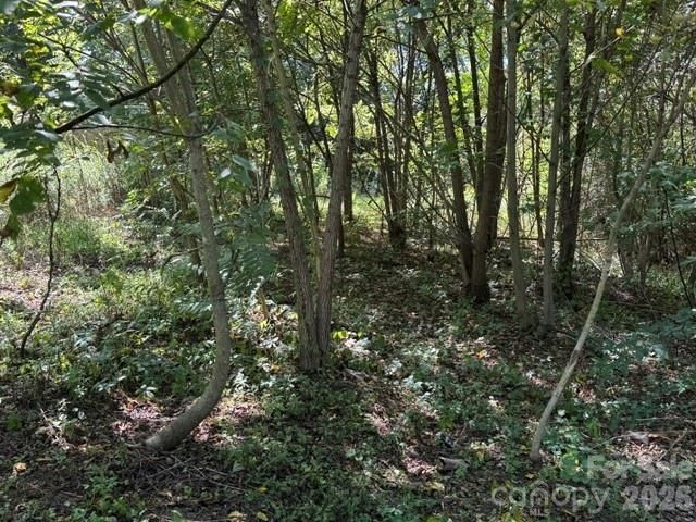 TBD Hi Alta Avenue, Asheville, NC 28806