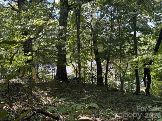TBD Hi Alta Avenue, Asheville, NC 28806