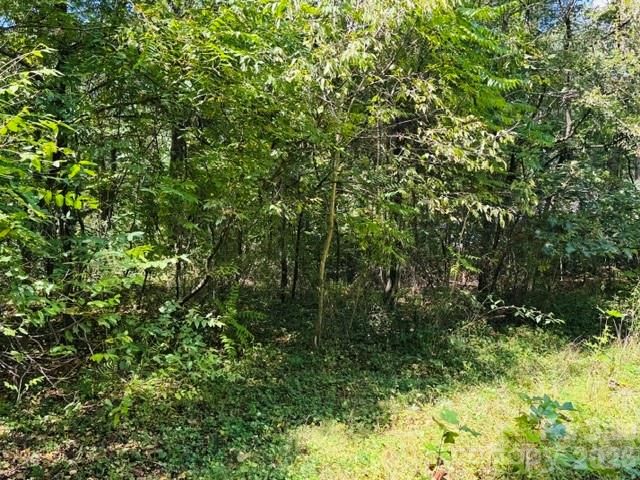 TBD Hi Alta Avenue, Asheville, NC 28806