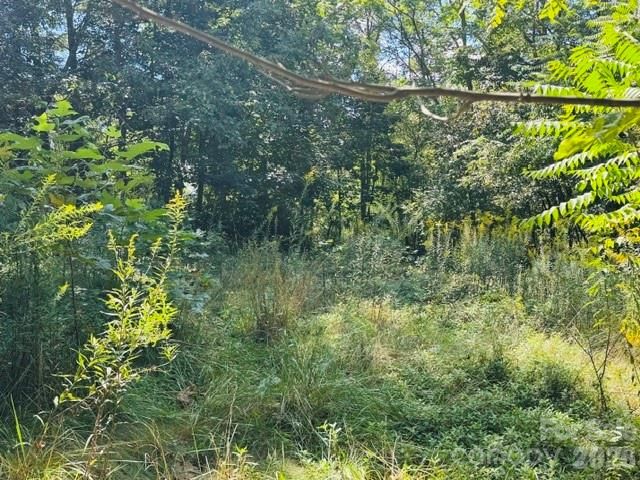 TBD Hi Alta Avenue, Asheville, NC 28806