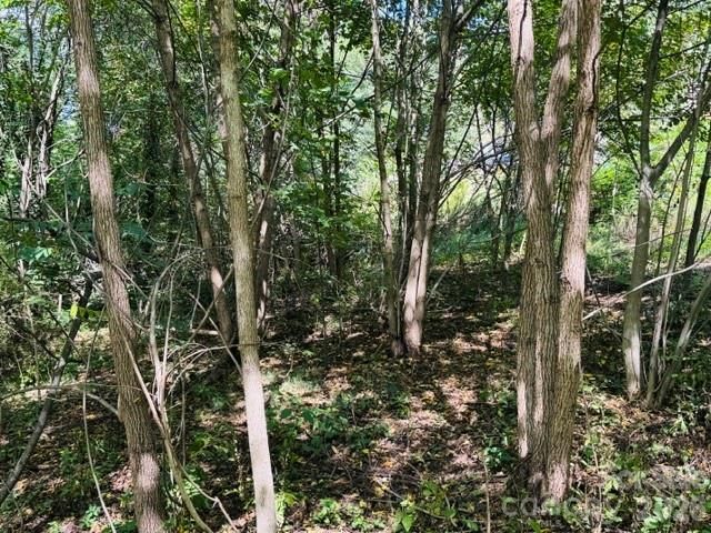 TBD Hi Alta Avenue, Asheville, NC 28806