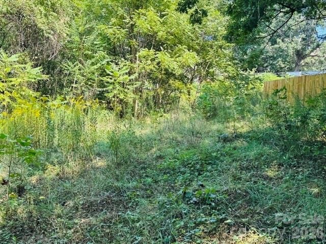 TBD Hi Alta Avenue, Asheville, NC 28806