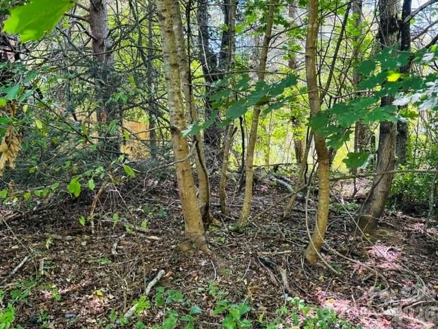 TBD Hi Alta Avenue, Asheville, NC 28806