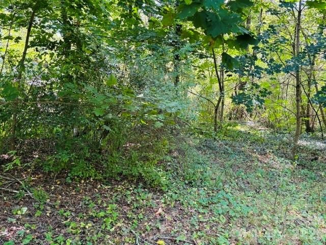 TBD Hi Alta Avenue, Asheville, NC 28806