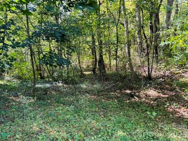 TBD Hi Alta Avenue, Asheville, NC 28806