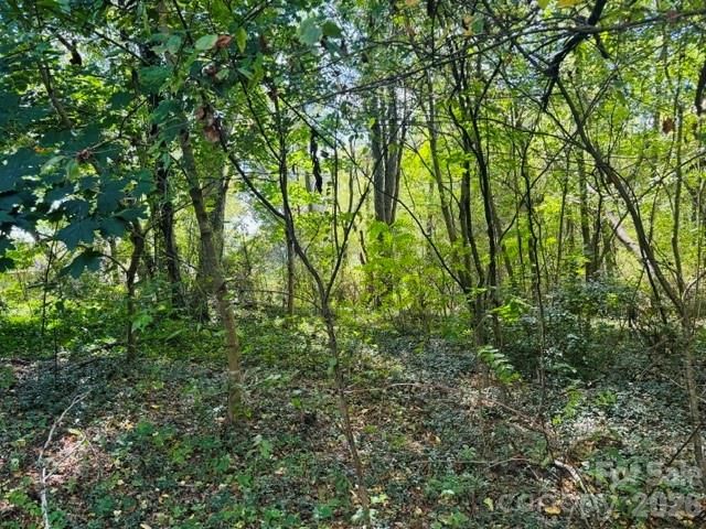 TBD Hi Alta Avenue, Asheville, NC 28806