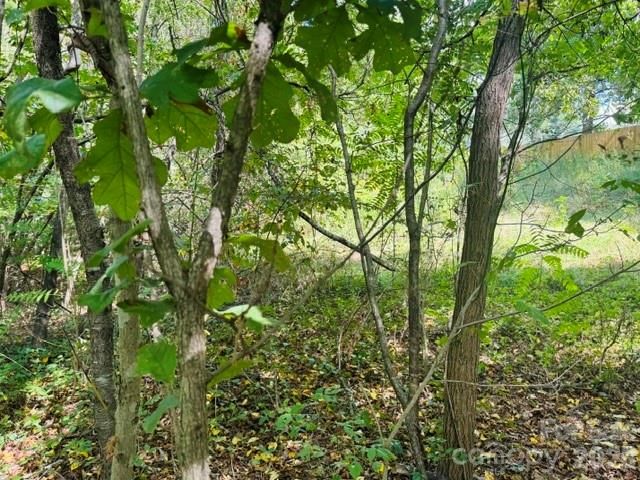 TBD Hi Alta Avenue, Asheville, NC 28806