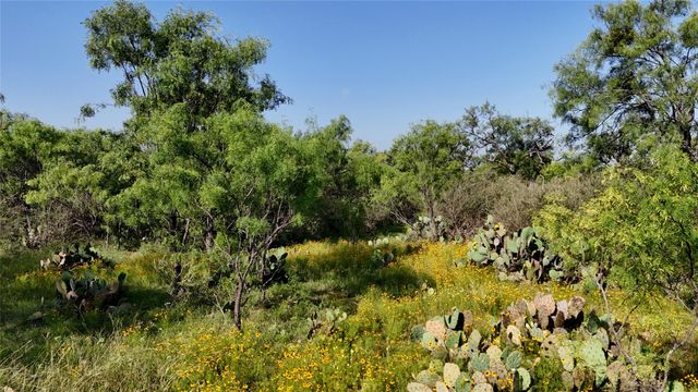 204 Lagitos LN, Llano, TX 78643