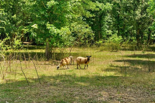 1600 Old Alabama Road, Taylorsville, GA 30178