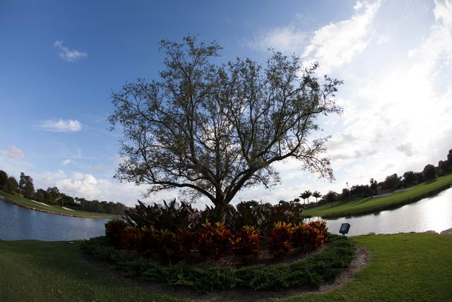 7314 Clunie Place 14002, Delray Beach, FL 33446