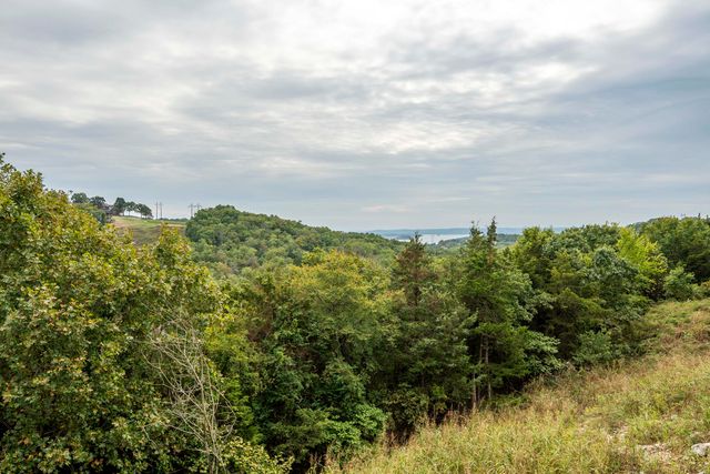 156 Southview Court, Branson, MO 65616