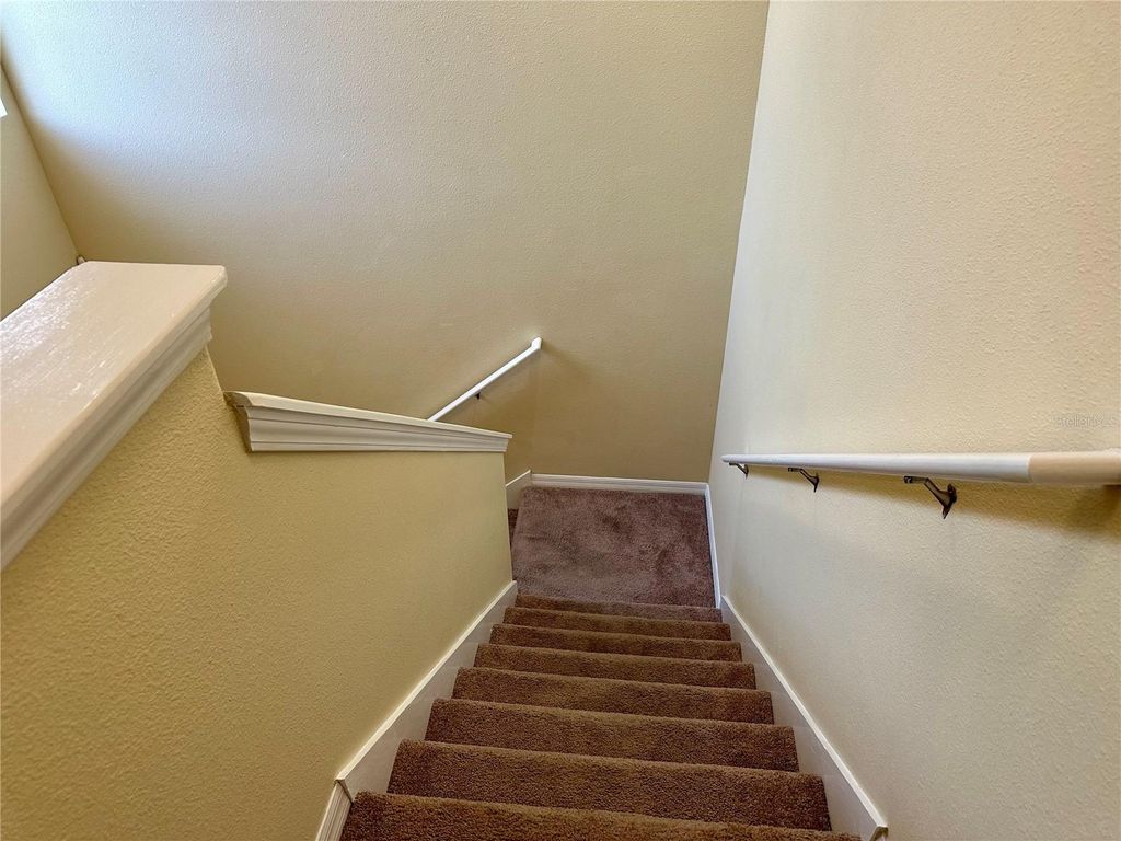 Image 19 of property listing at 9908 SPICE BUSH COURT, Tampa, FL 33647