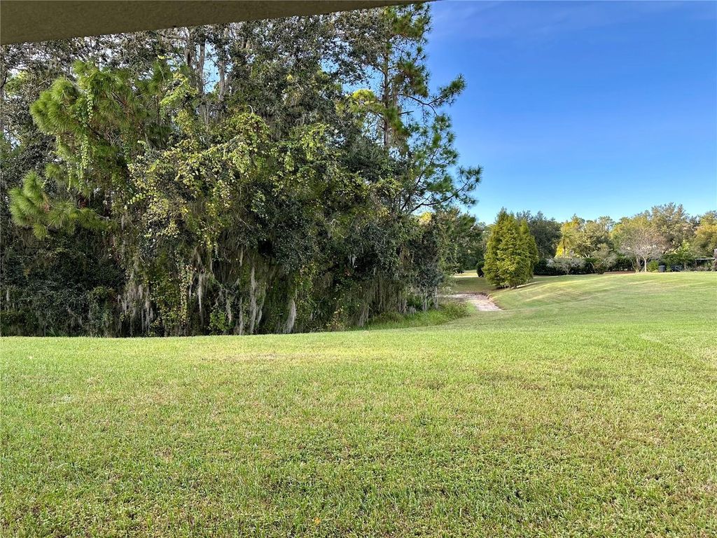 Image 24 of property listing at 9908 SPICE BUSH COURT, Tampa, FL 33647