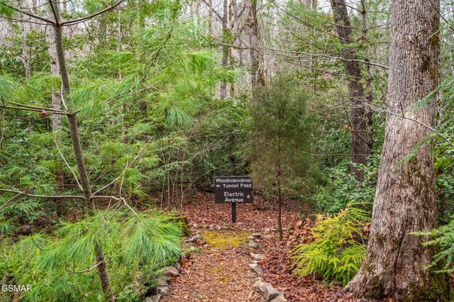 1903 Waters End Road, Walland, TN 37886