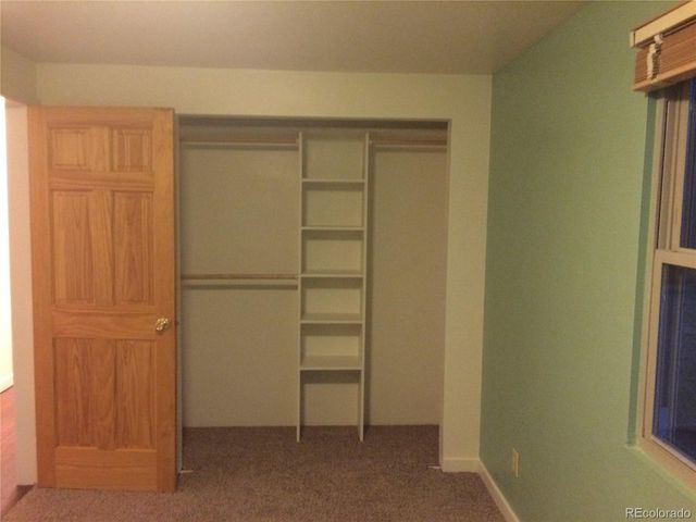 131 Baylor Dr, Buena Vista, CO 81211