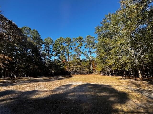 1211 Pleasure Drive, Summerton, SC 29148