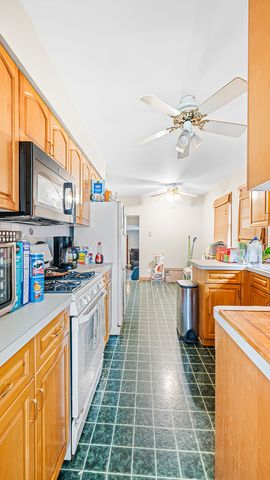 1525 Elm Street, Park Ridge, IL 60068